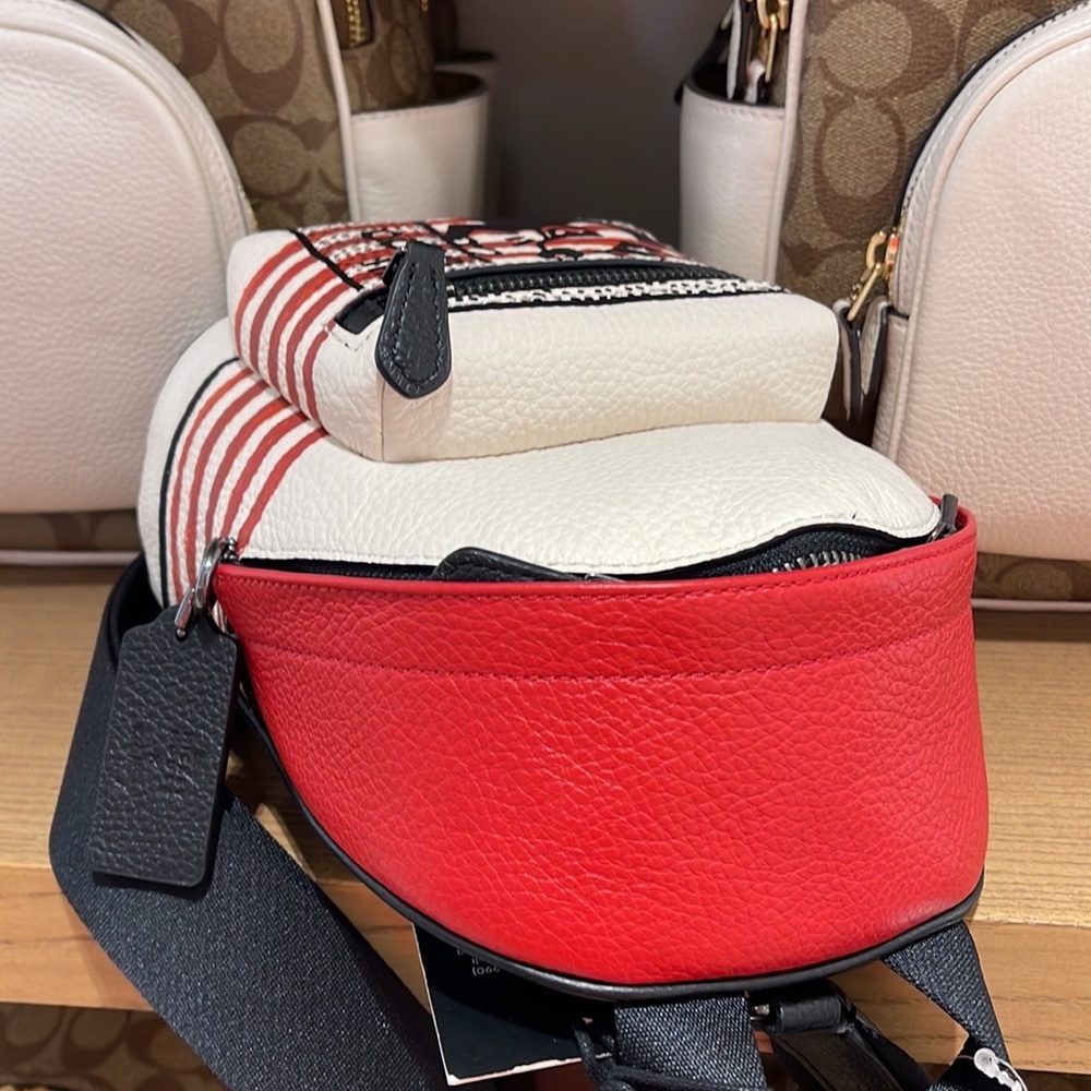 Coach Disney Mickey Mouse X Keith Haring Small West Backpack Crossbody - Picture 9 of 16